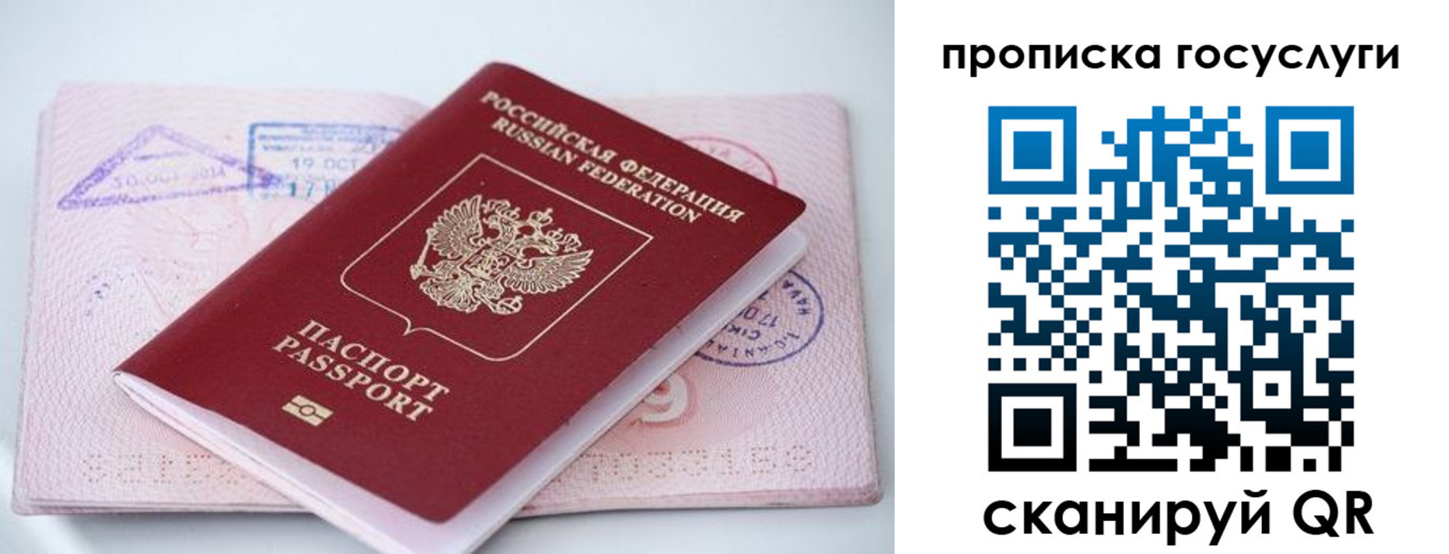 прописка законно в Мыски